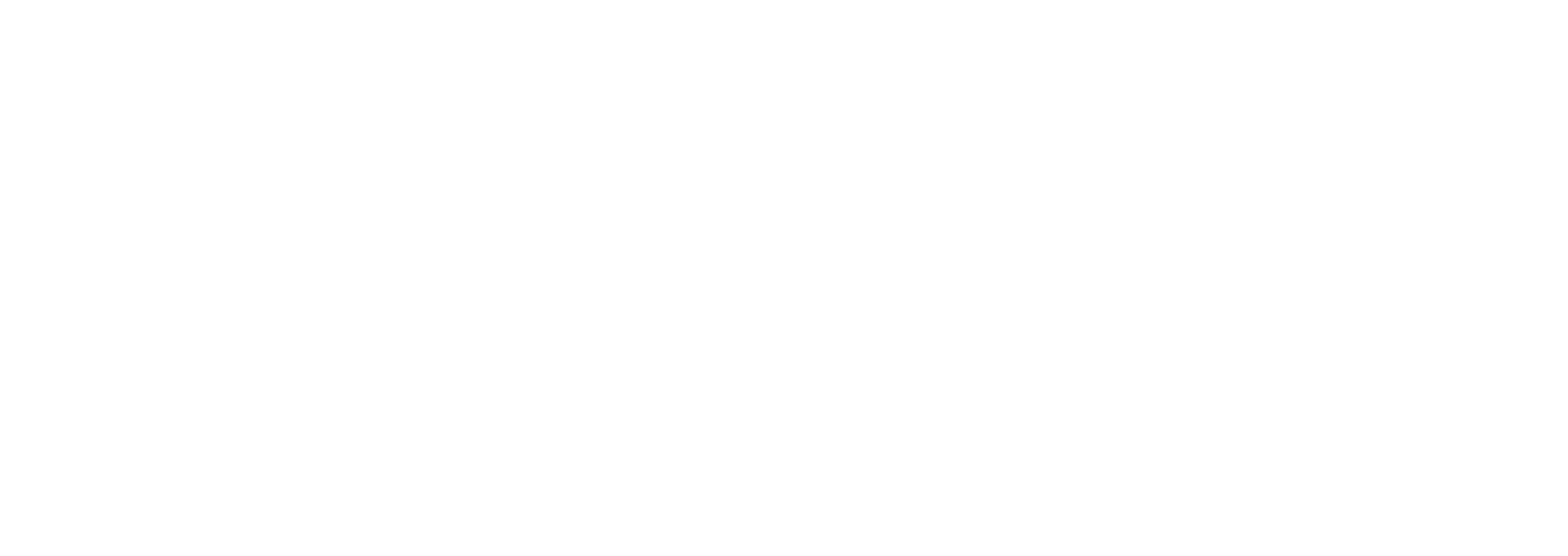 Panther Capital Group Logo White